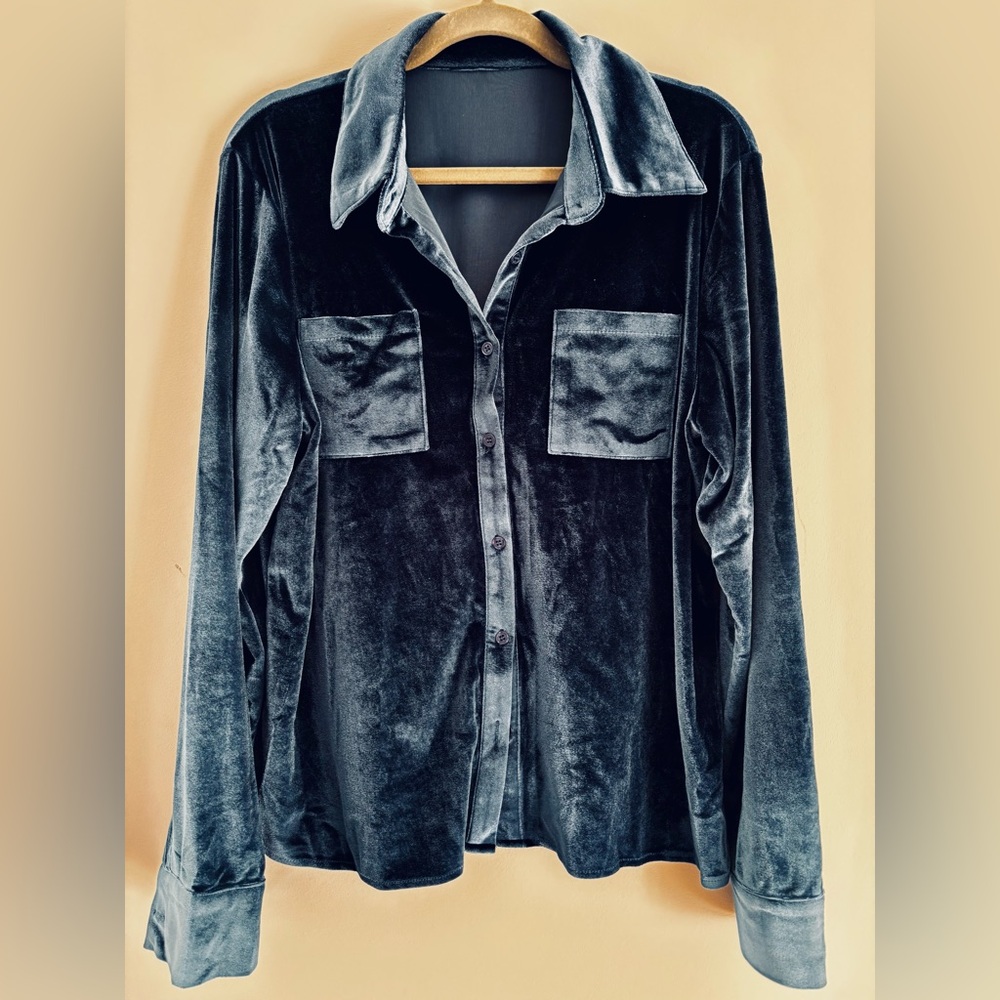 NWT Blue Velvet Button-Up Shirt Women's L